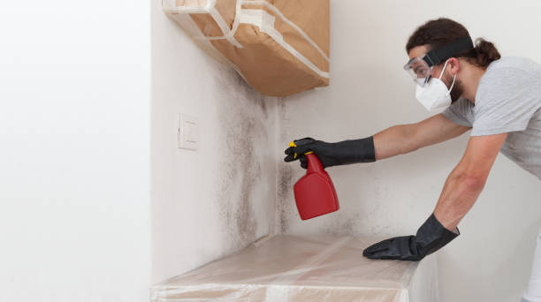 Professional Black Mold Remediation technician working in North Reading, MA
