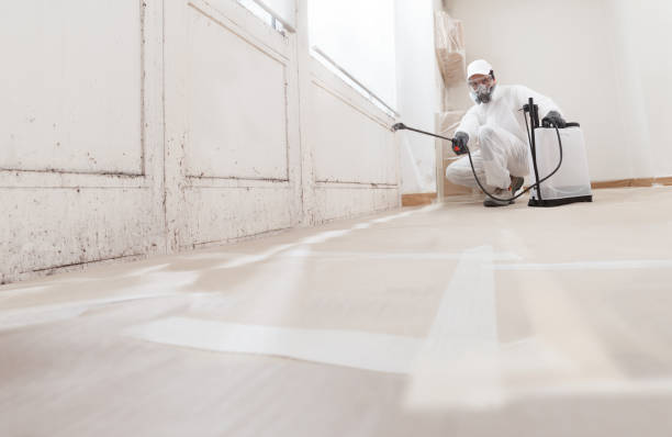 24/7 Emergency Black Mold Remediation experts in North Reading, MA
