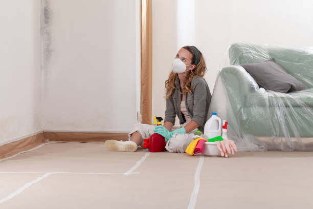Reliable Black Mold Remediation contractor in North Reading, MA by Car Mold Remediation